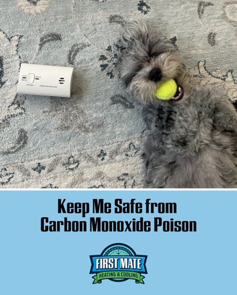 Picture of a dog with a ball in its mouth lying next to a CO monitor. Text below says "Keep Me Safe From Carbon Monoxide Poison" with First Mate logo below that.