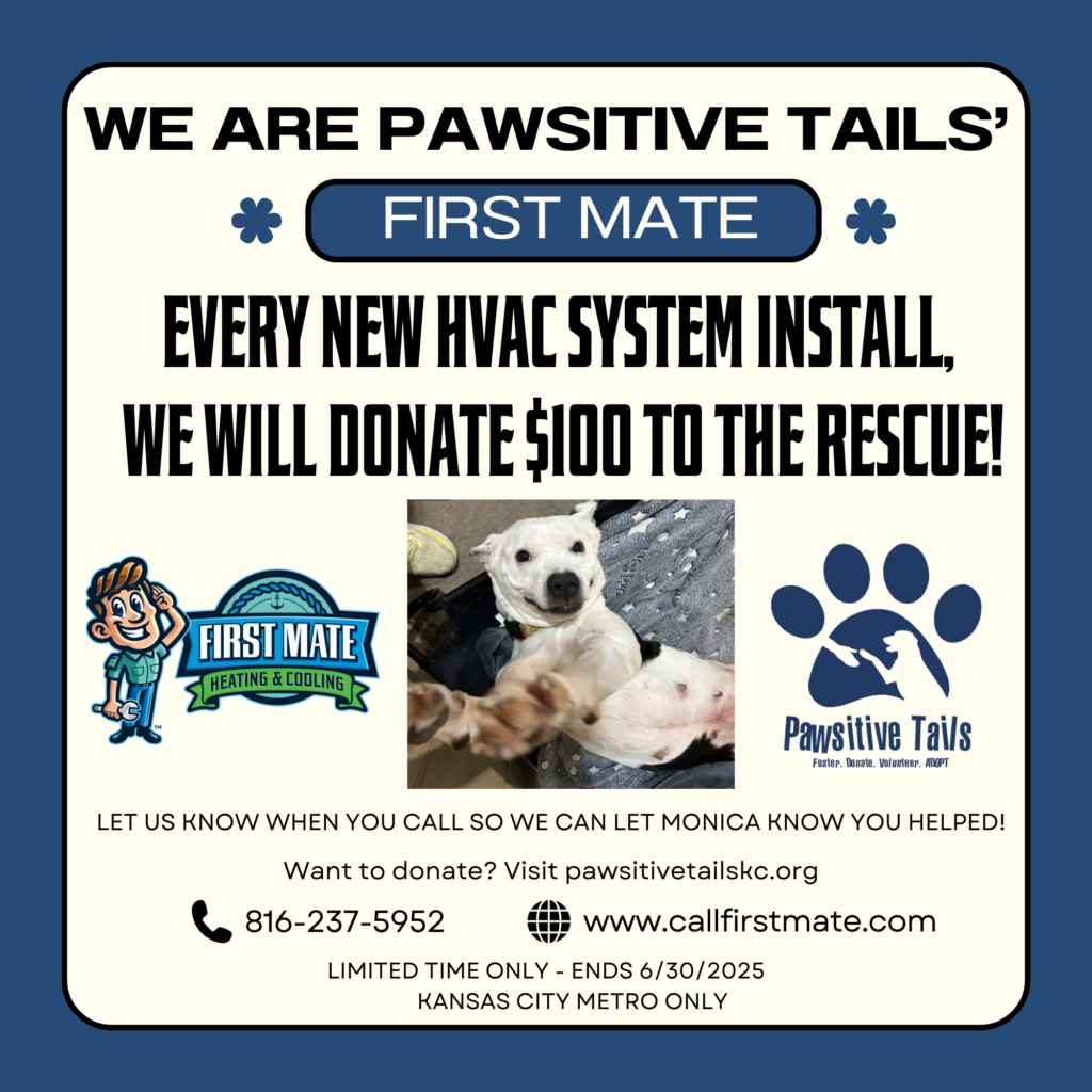 Pawsitive Tails Fundraising Event Graphic with Monic